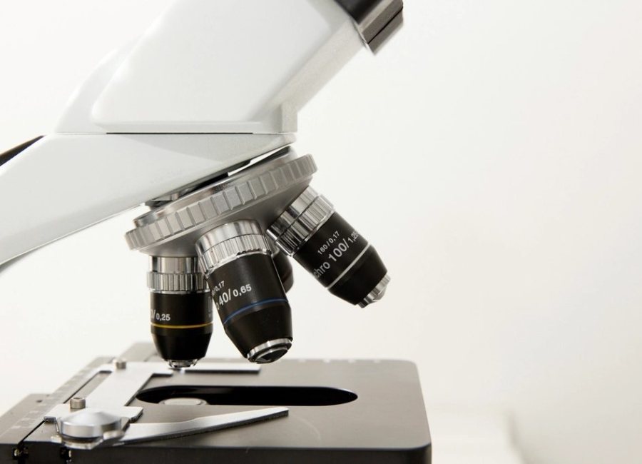 Artikel over interdisciplinair onderzoek